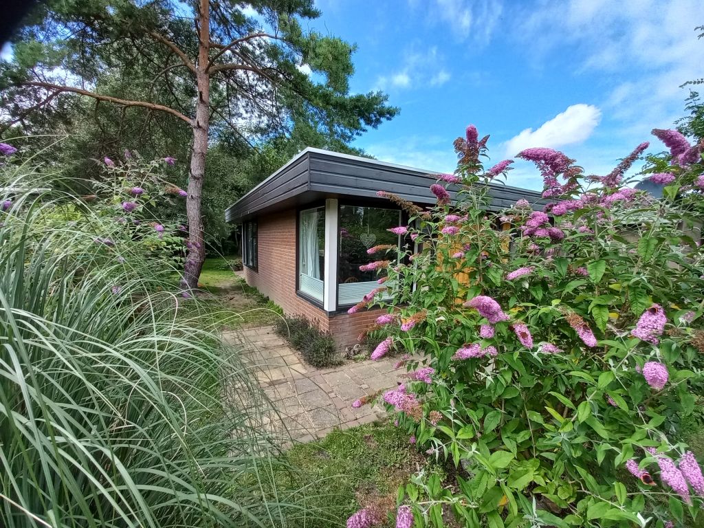 slide_front_001