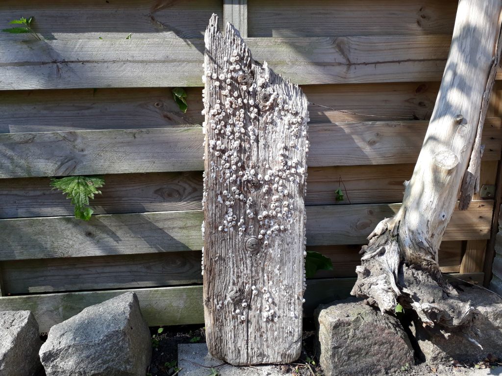 slide_garden_005
